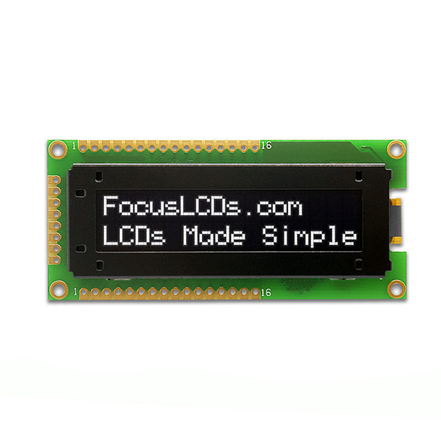 O162B-CW-SS5 Focus LCDs