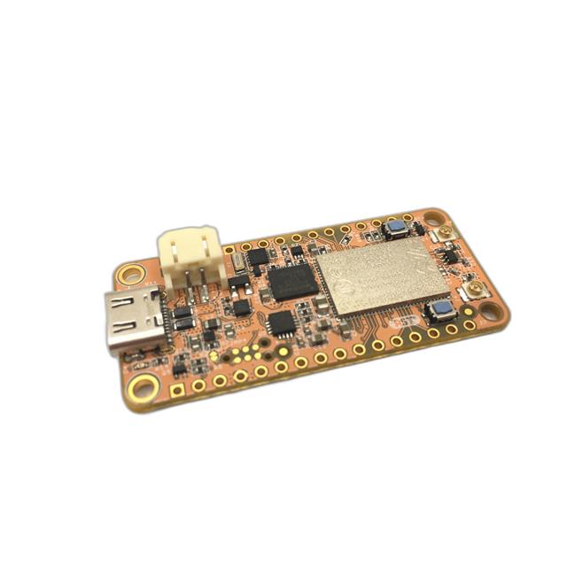 PASSY-NRF9160-FEATHER Circuit Dojo