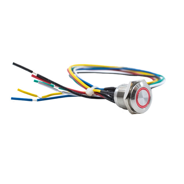 PV6FW40SS3R1 E-Switch