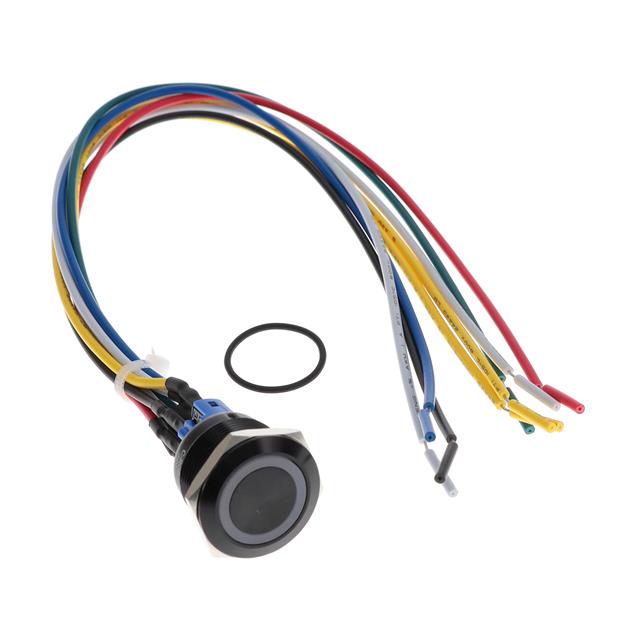 PV7FWY011-3R5 E-Switch
