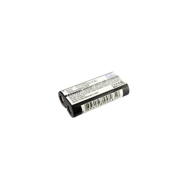 RICOH CAPLIO R1V Interlight