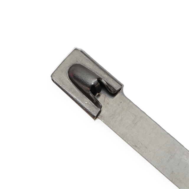 AL-27-100-SS-C Advanced Cable Ties, Inc.