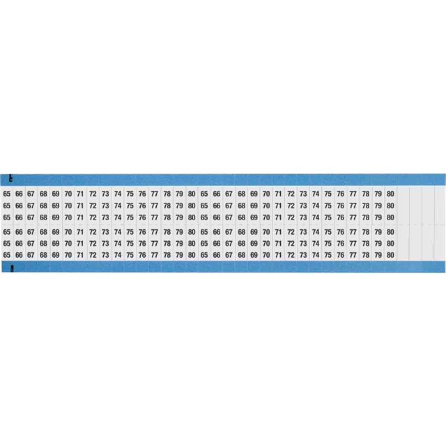 WM-65-80-DC-SC-PK Brady Corporation