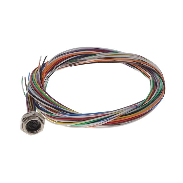 MIKQ9-19PH006 ITT Cannon, LLC