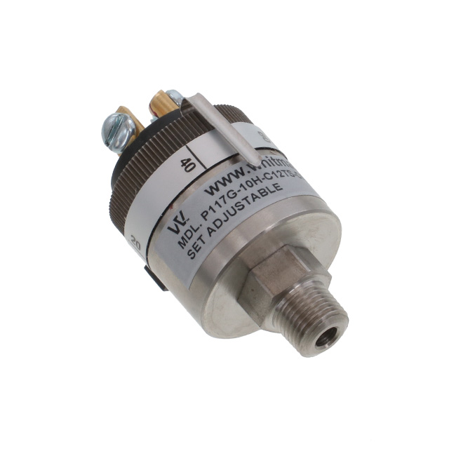 P117G-10H-C12TS-DIS Whitman Controls, LLC