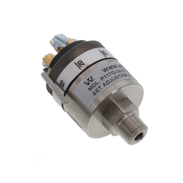 P117G-3H-C12TS-DIS Whitman Controls, LLC