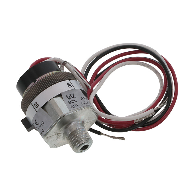 P119G-10H-C12L-DIS Whitman Controls, LLC