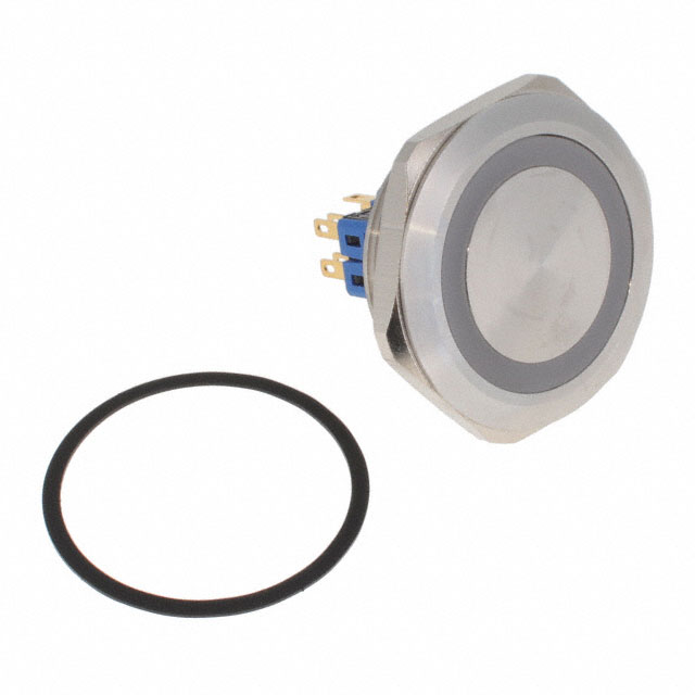 PV10F2V0SS-331 E-Switch