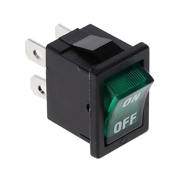 R1973ABLKGILIF1 E-Switch