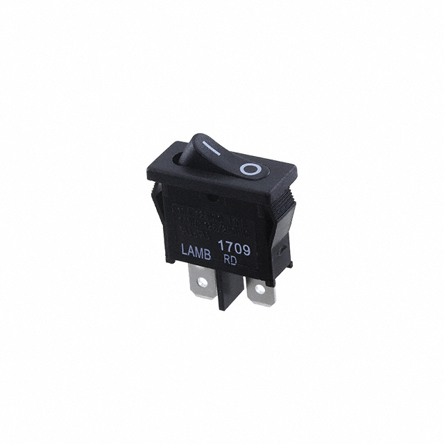 RD111C1121 E-Switch