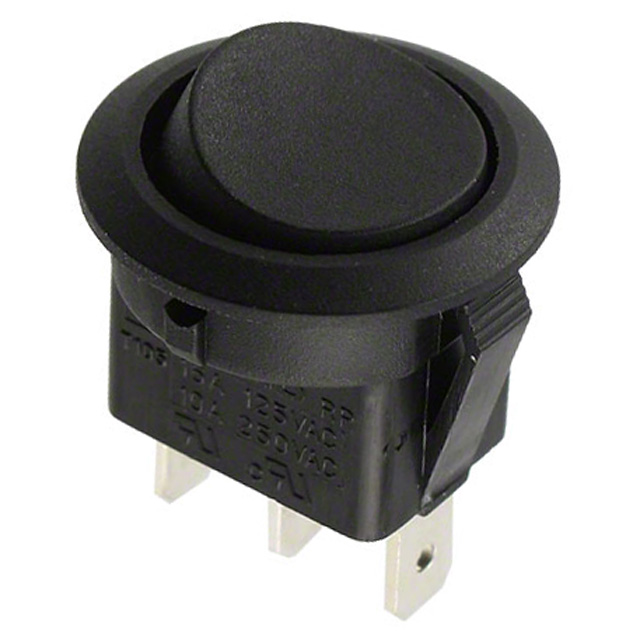RR113C1100 E-Switch
