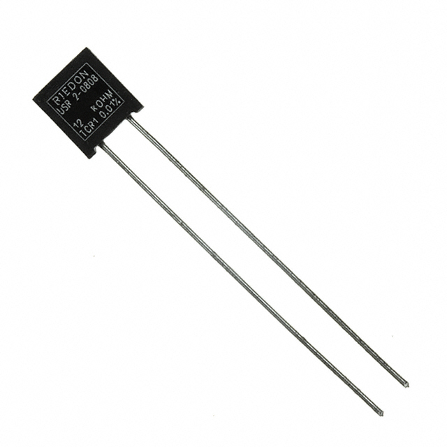 USR2G-12KX1 Riedon