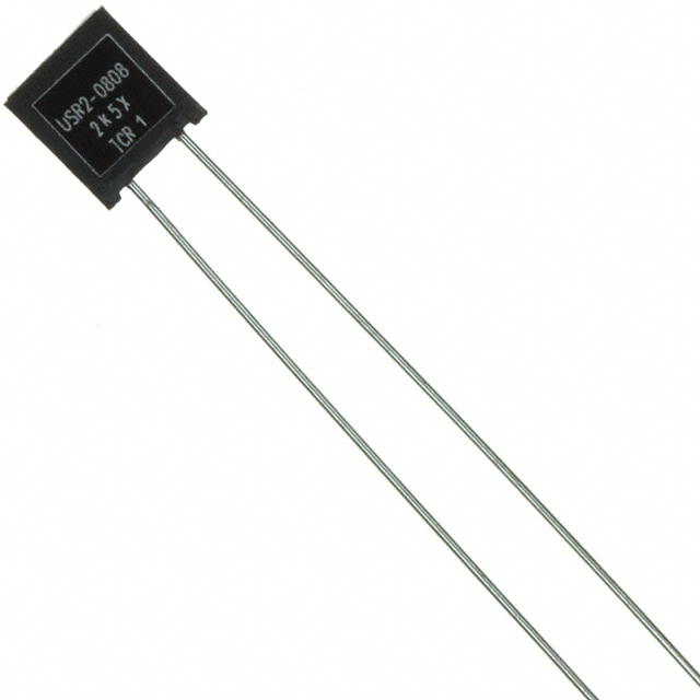 USR2G-2K5X1 Riedon