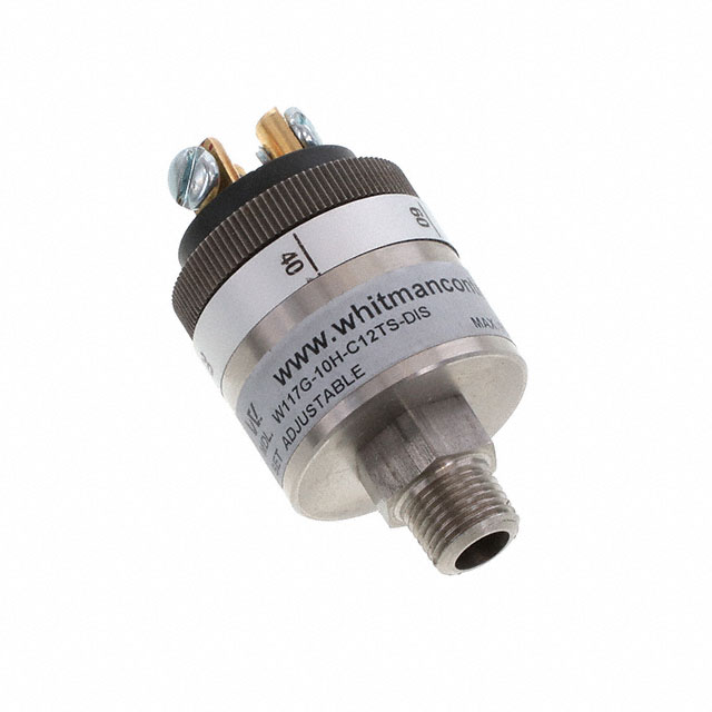 W117G-10H-C12TS-DIS Whitman Controls, LLC