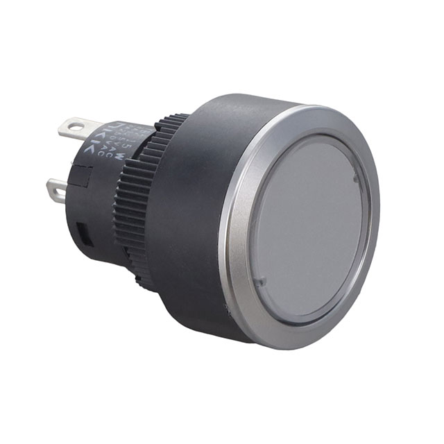 YB215CWCPW01-5F24-JS NKK Switches