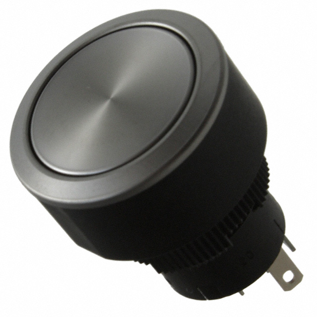 YB216CWCPW01-N-P NKK Switches